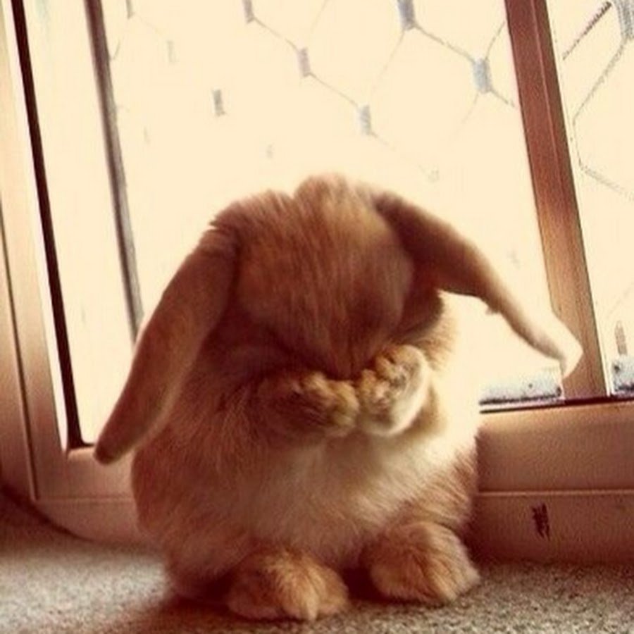 Открытка «я скучаю»