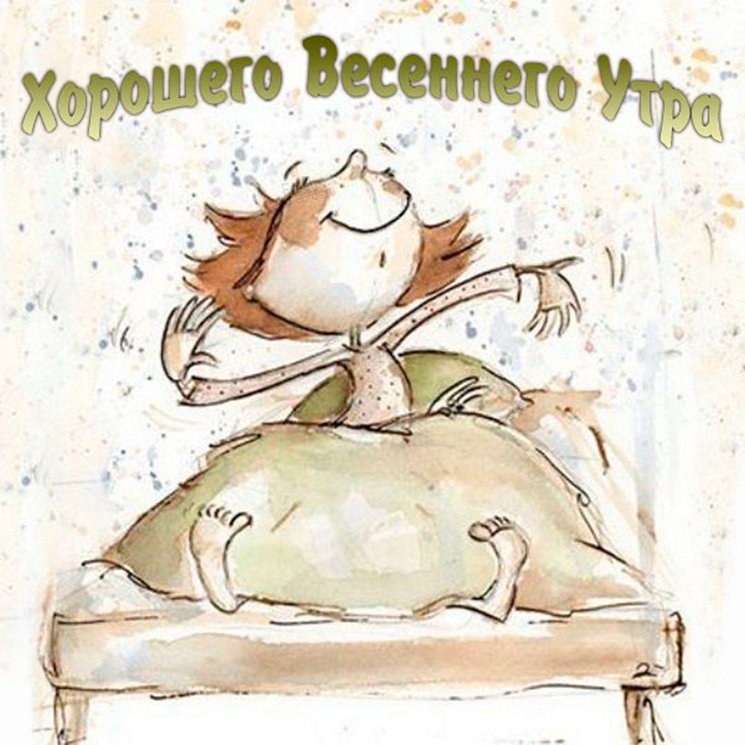 Прикольное поздравление с совой