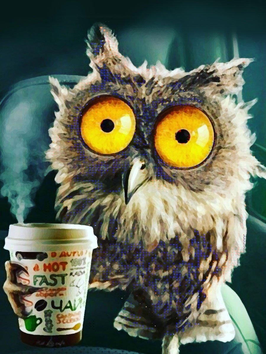 Смешные высказывания с добрым утром