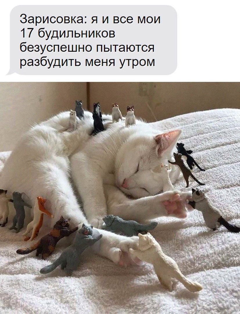 Проспал прикол