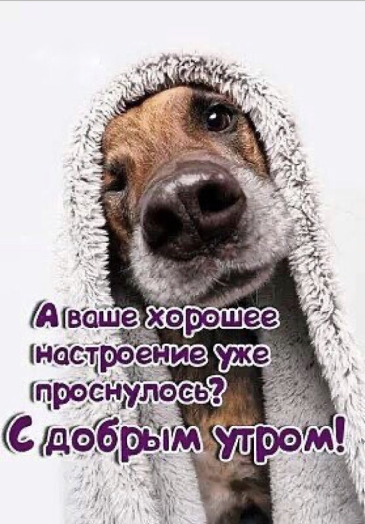 Доброе утро пятницы