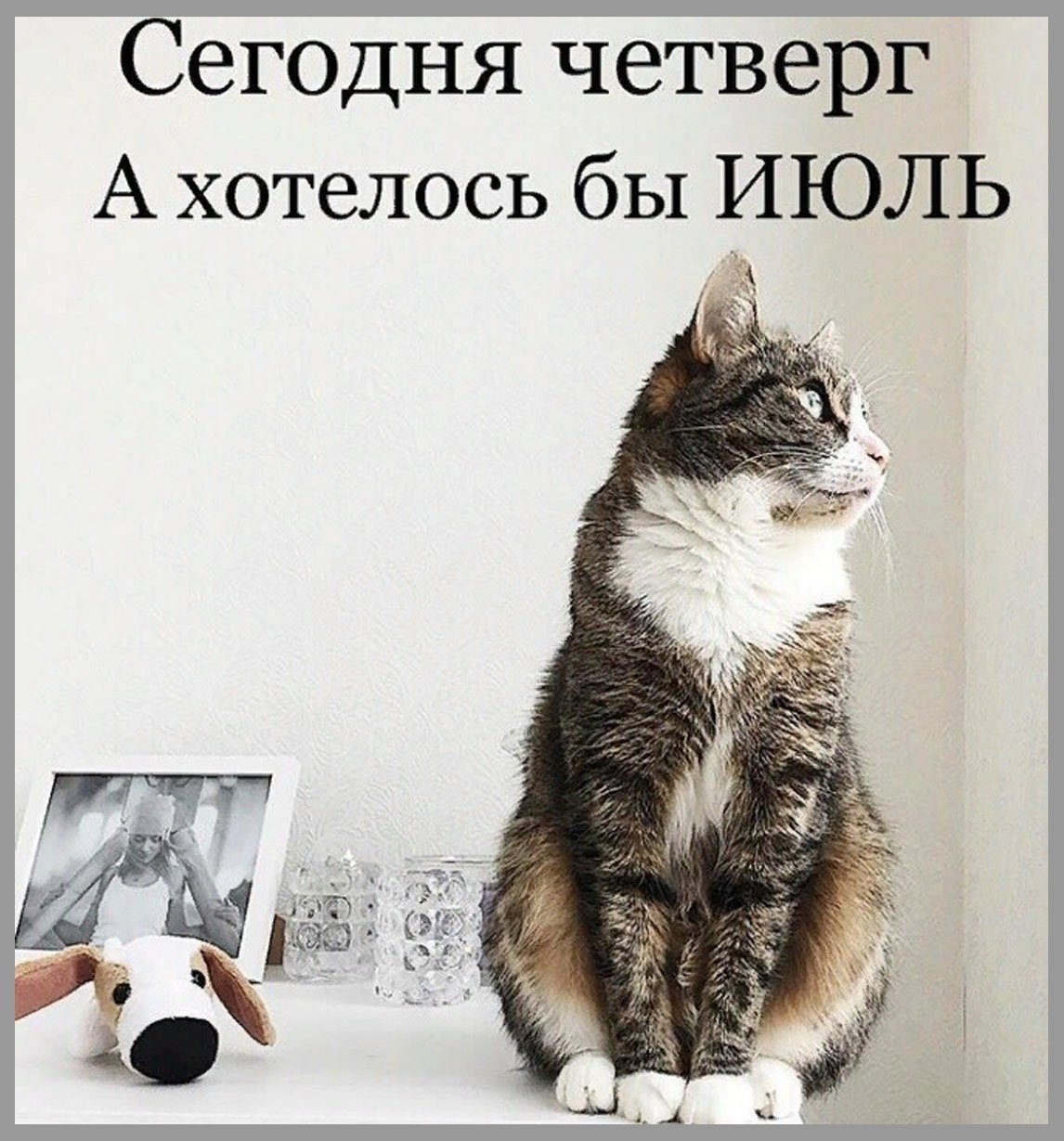 Смешные пожелания доброго утра