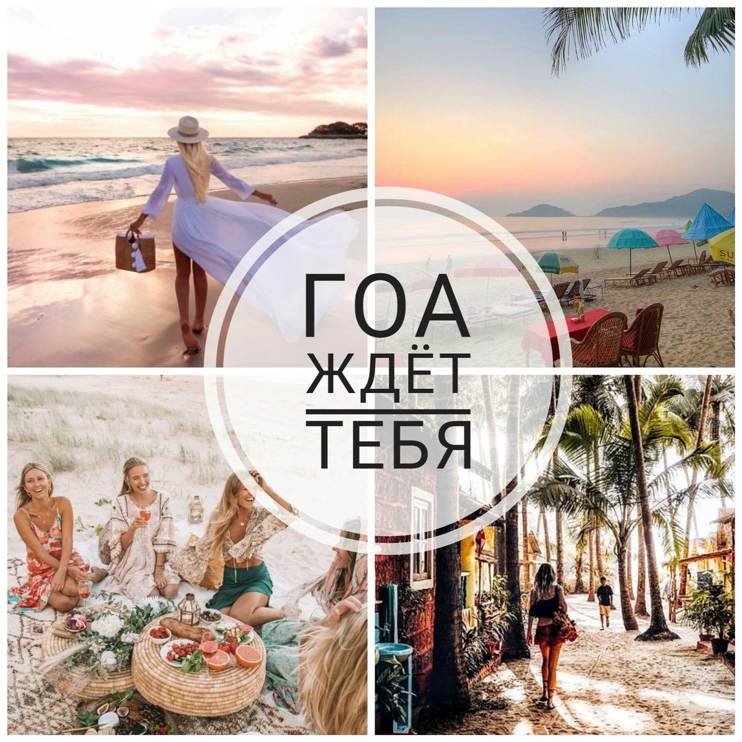 Goa Gold Инстаграм