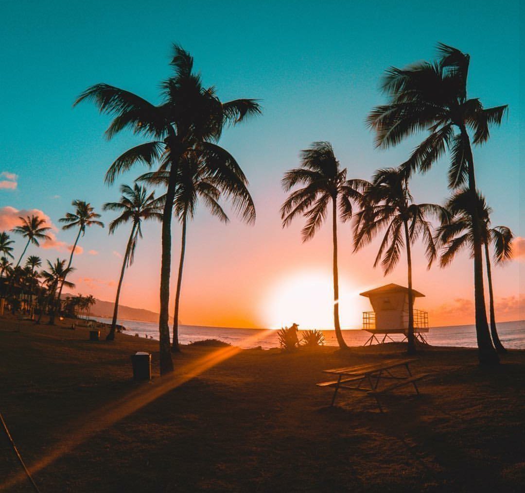 Индия Гоа туризм