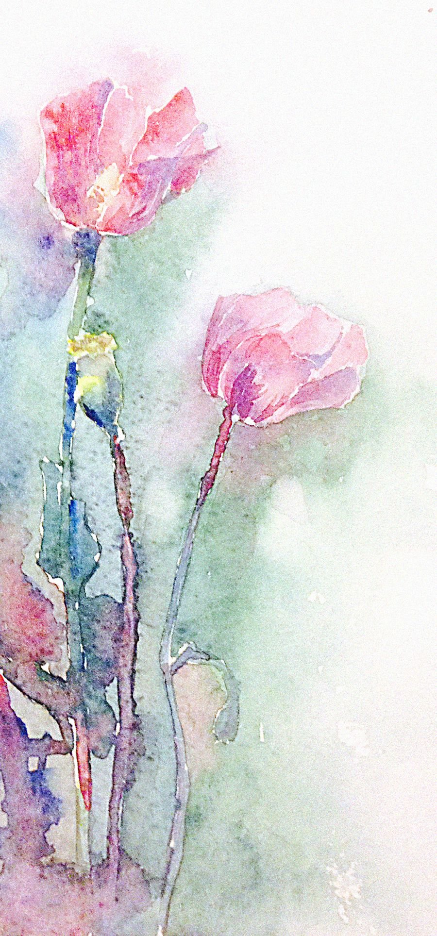 Ветка вербы акварель