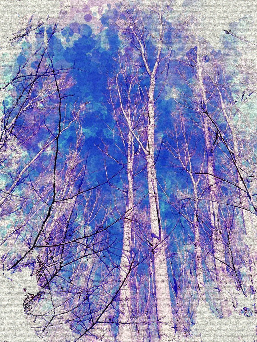 Акварельные рисунки