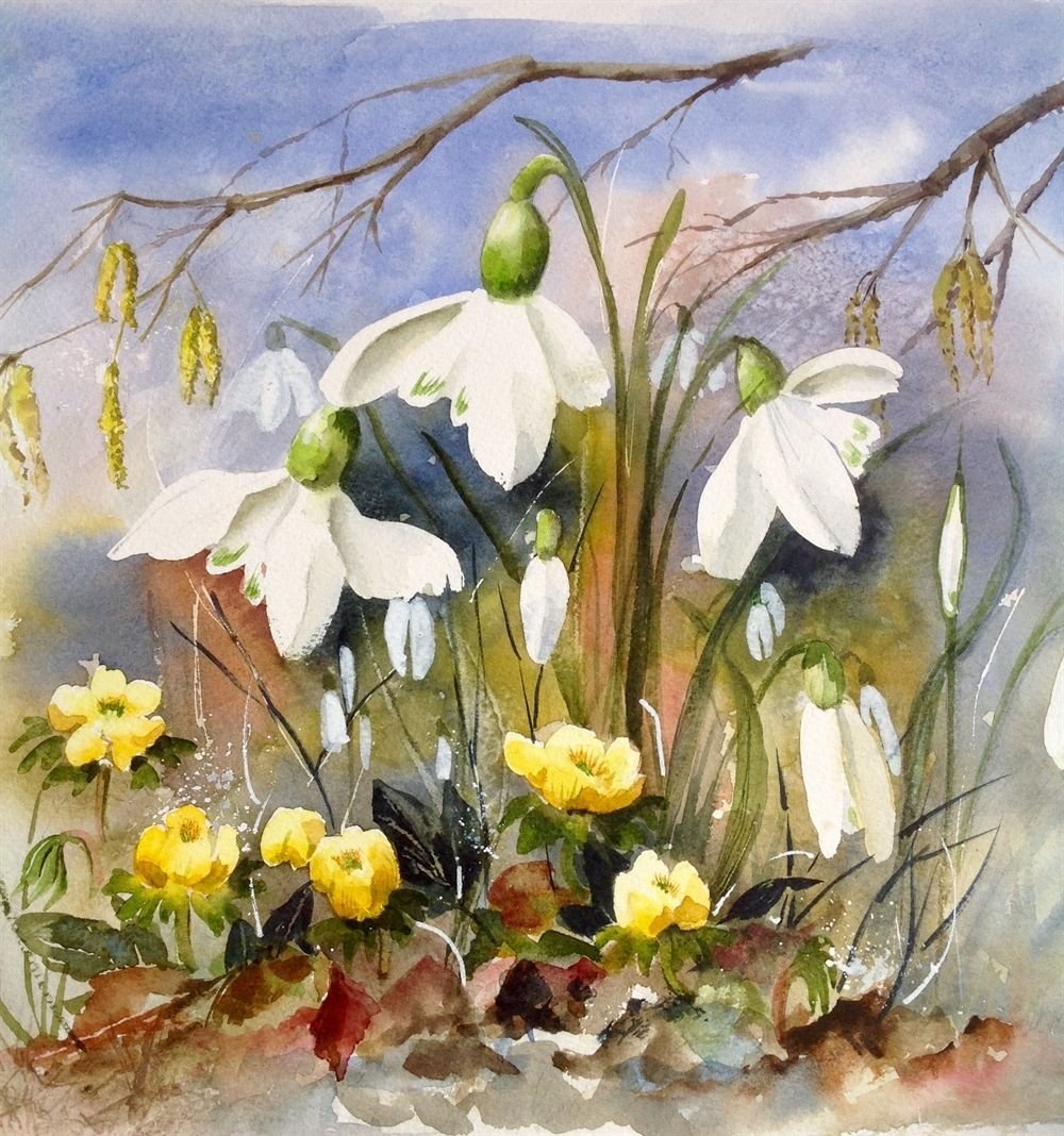 Марина Журавская Шуя картины