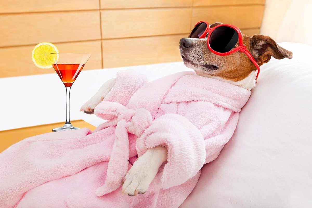 Кровать для кошки