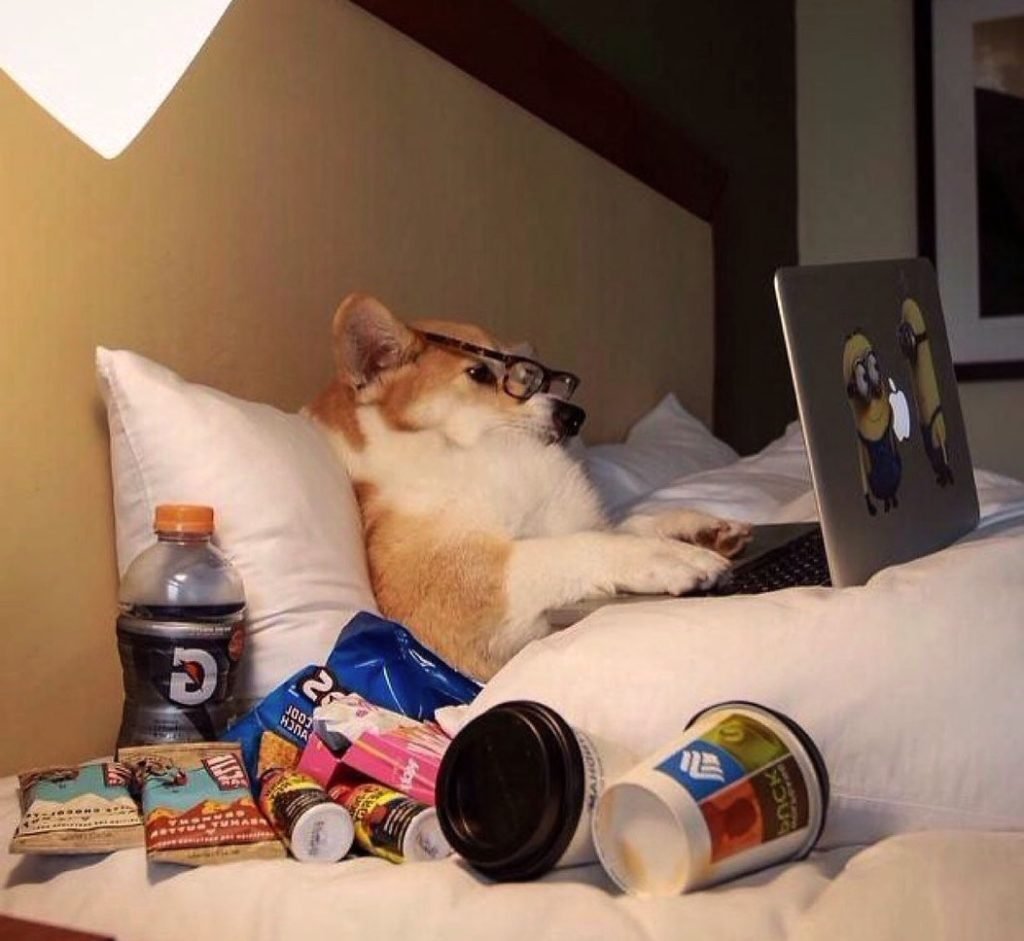 Утренние иллюстрации