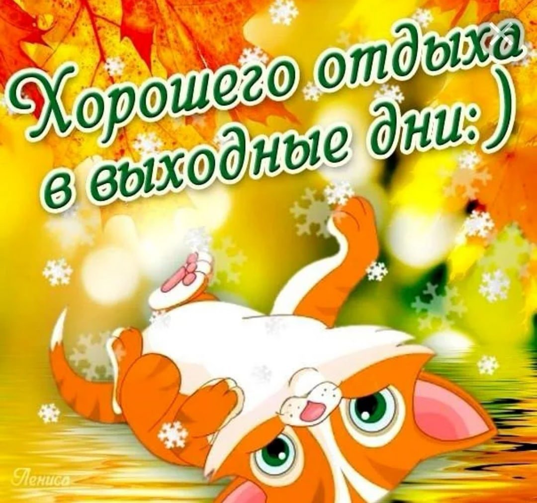 Воскресенье приколы