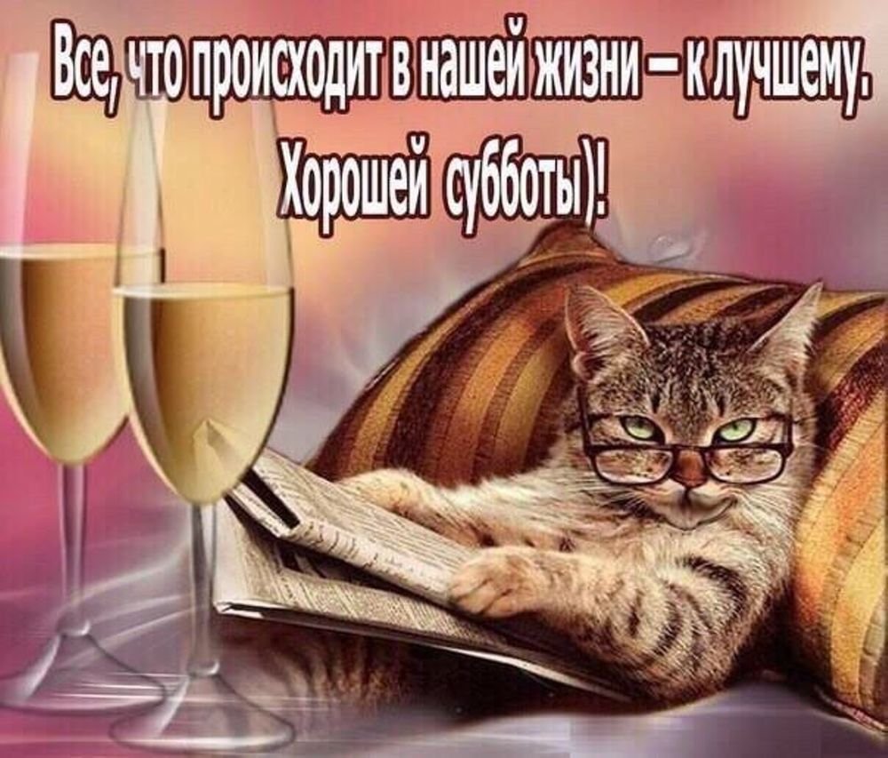 Завтрак на подоконнике