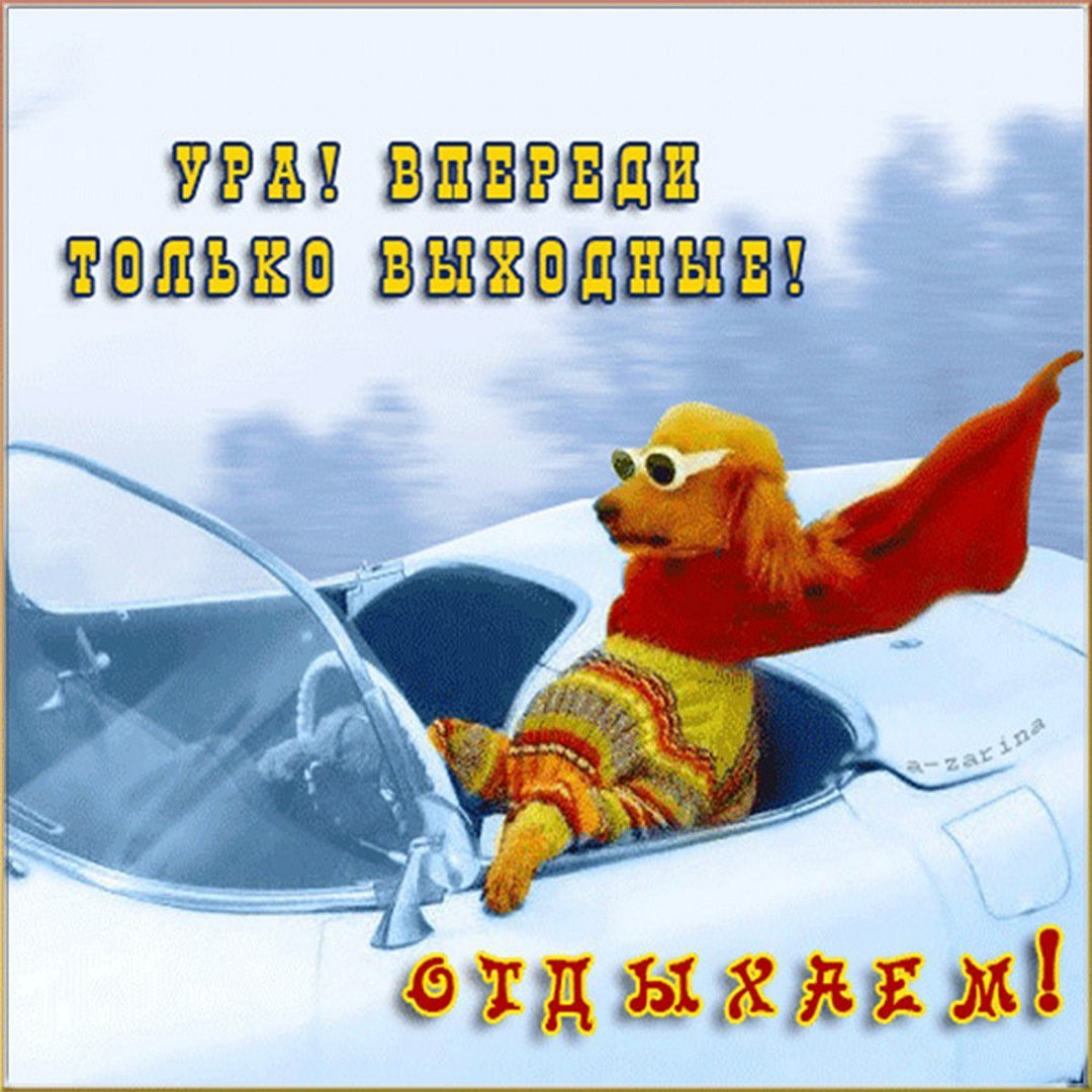 Женщина отдыхает юмор