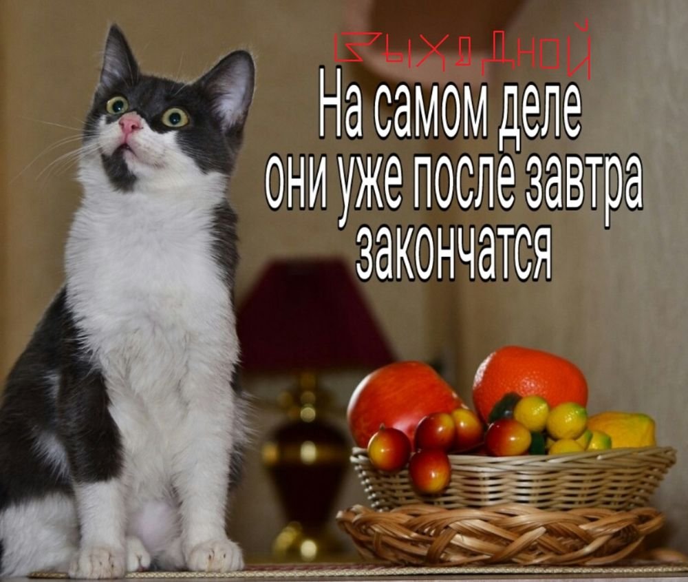 Деньги на завтрак