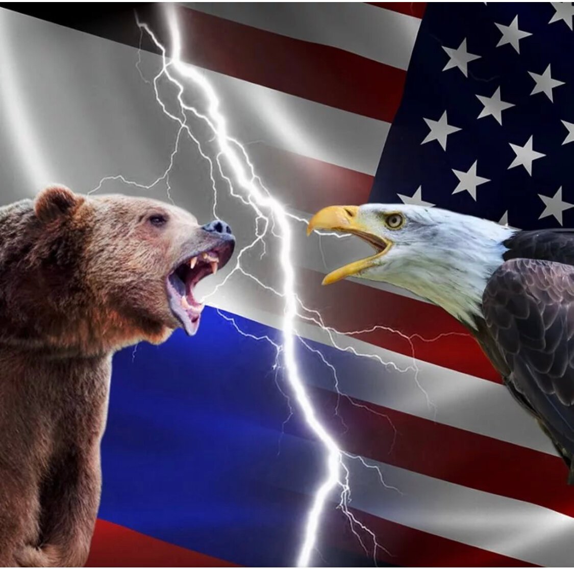 Мировая шахматная доска