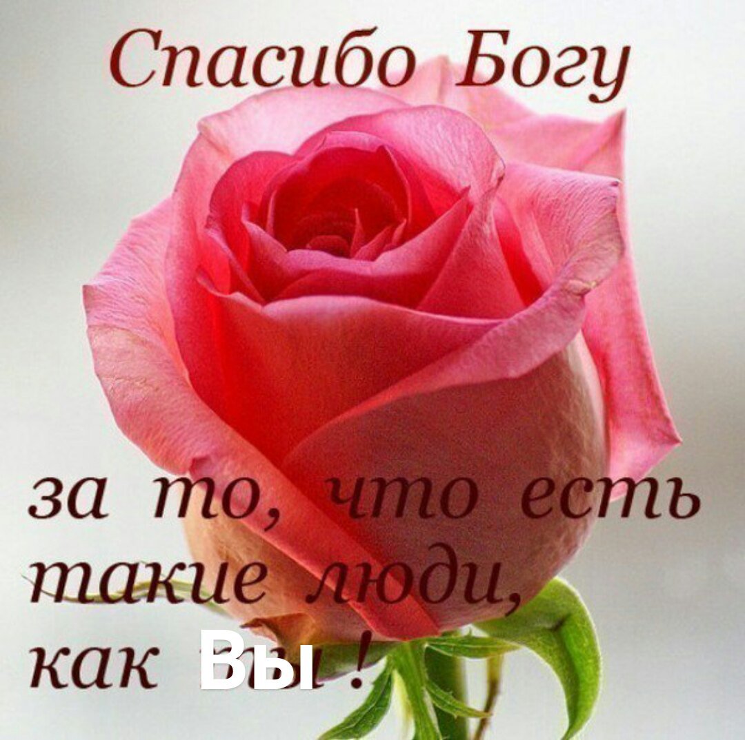 Хорошие слова хорошему человеку