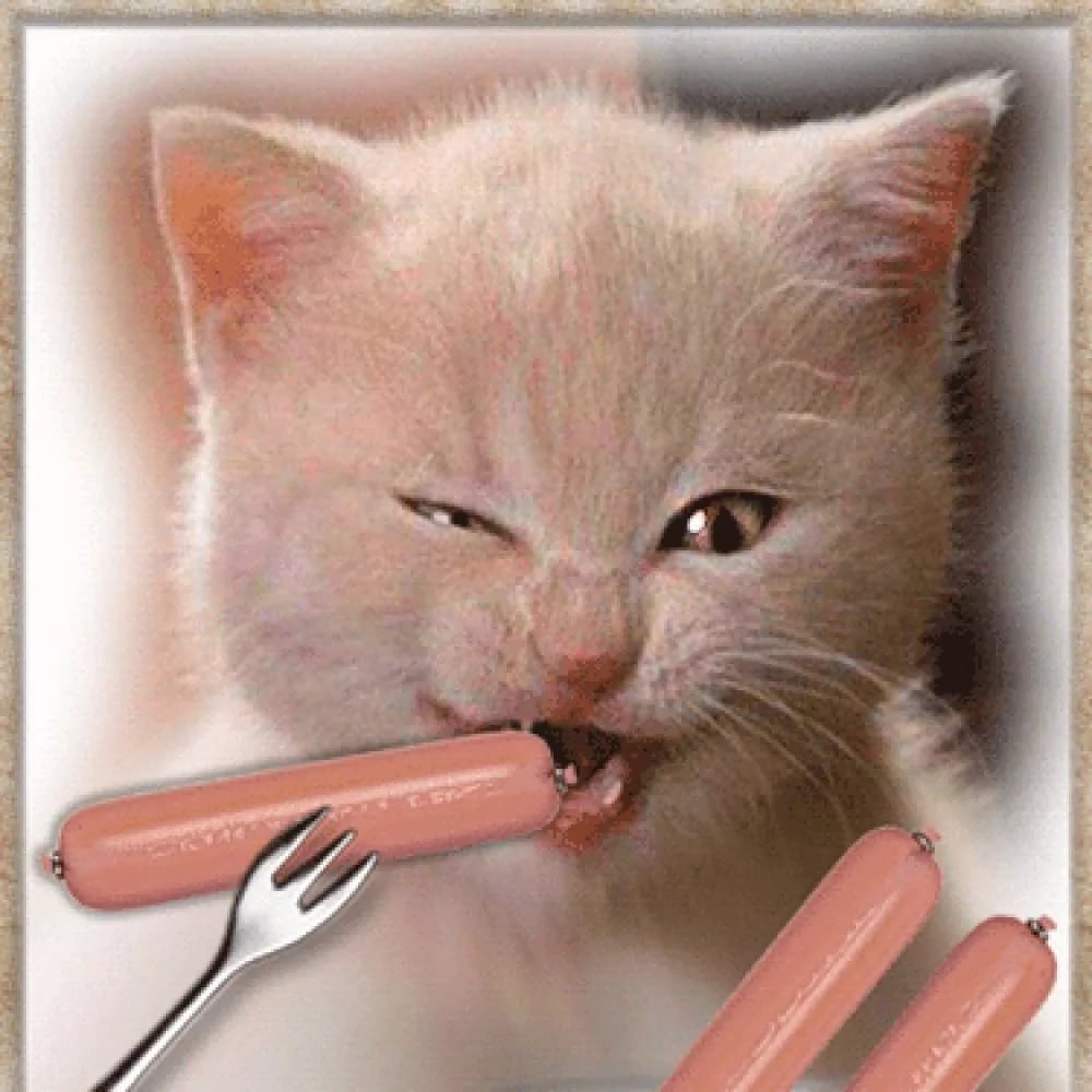 Смешная еда