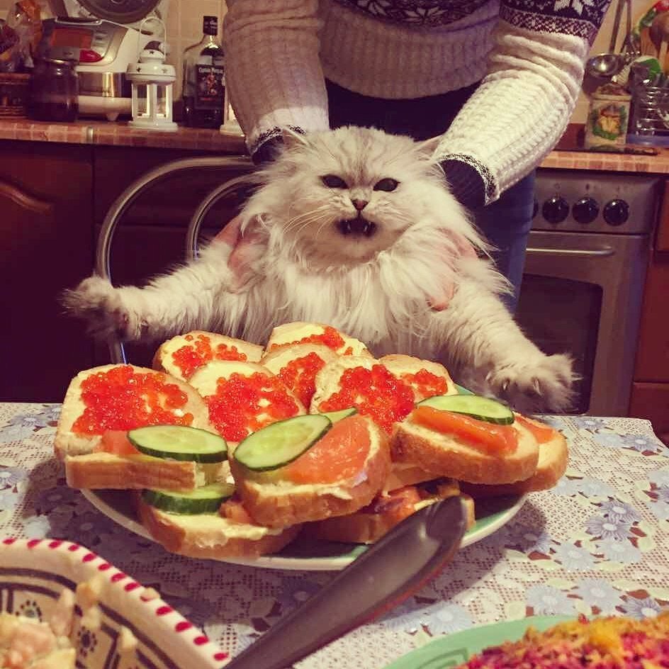 Красивая пицца