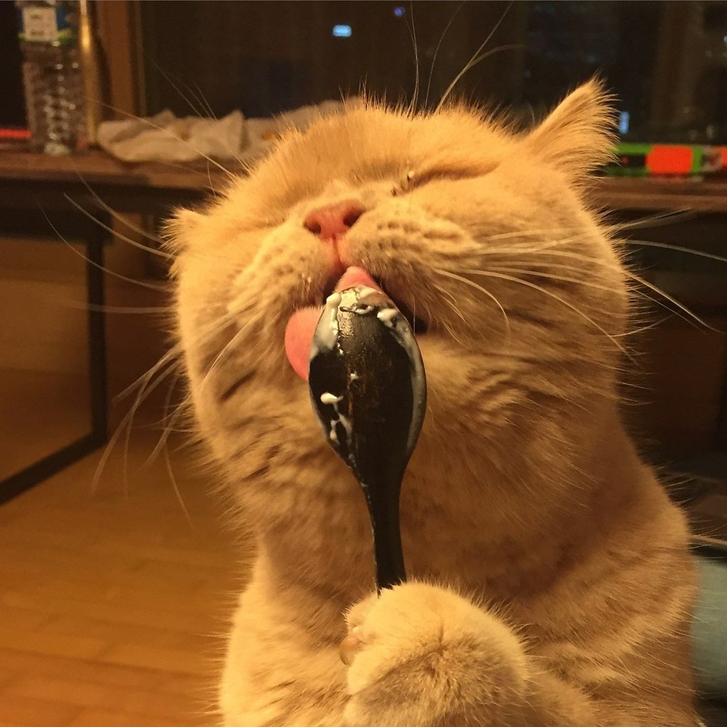 Сладкие блюда