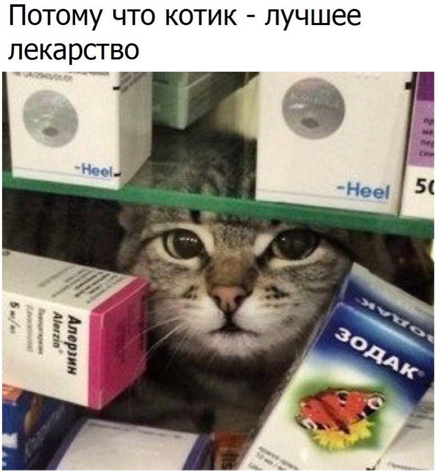 Чепушила Мем