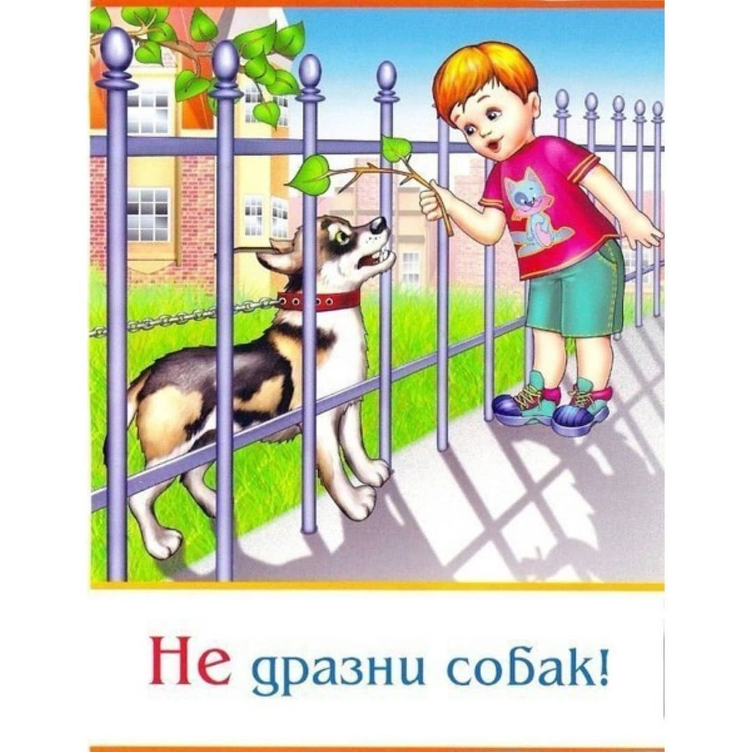 Безопасность на дороге