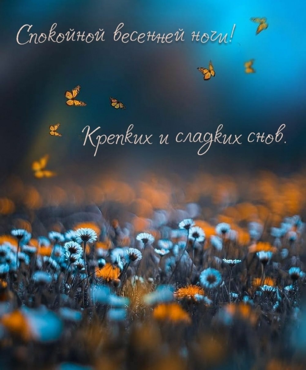 Добрый вечер и спокойной ночи прикольные открытки