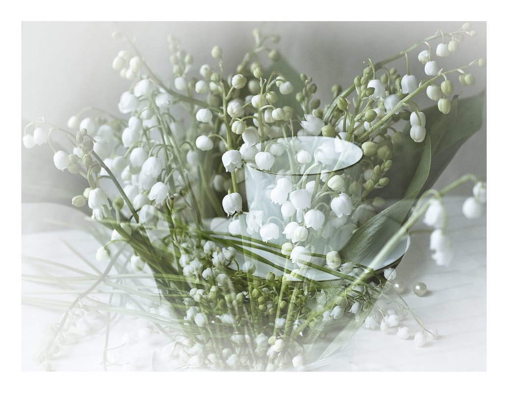 Огромный букет ландышей