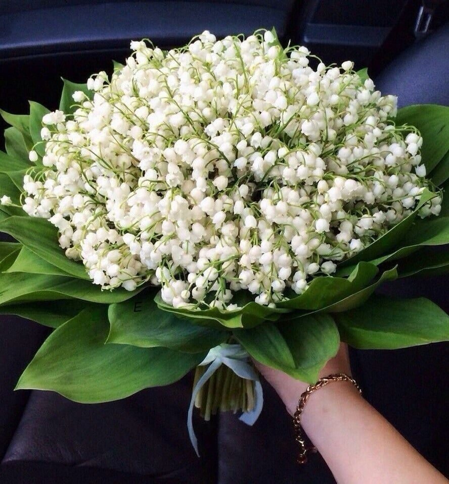 Открытки с днем рождения Ландыши