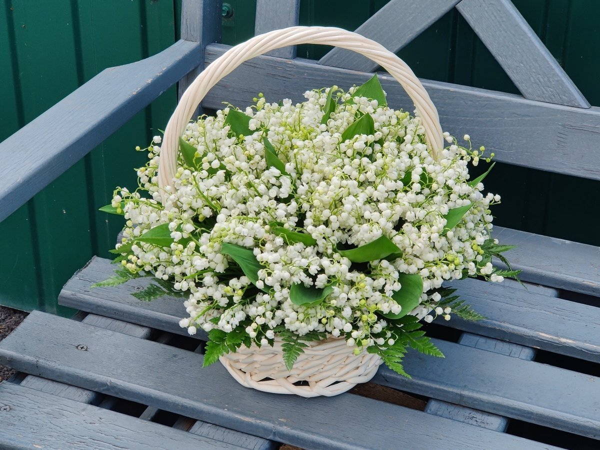 С днем рождения ландыши картинки