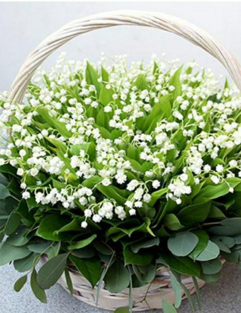 Открытки с пожеланиями на каждый день