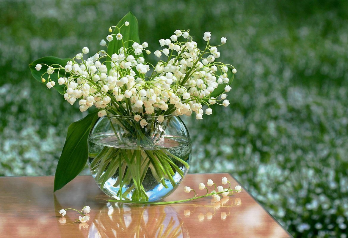 Ландыш срезка