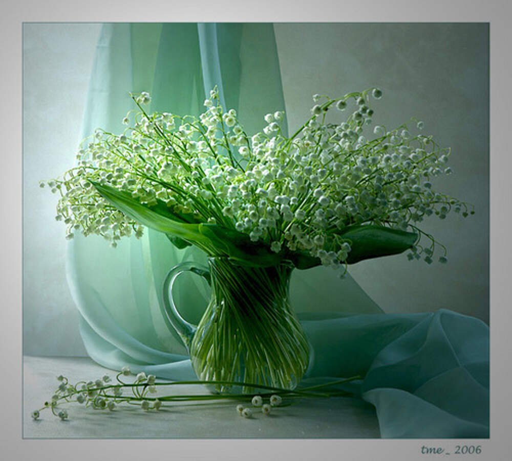 Нежные Ландыши