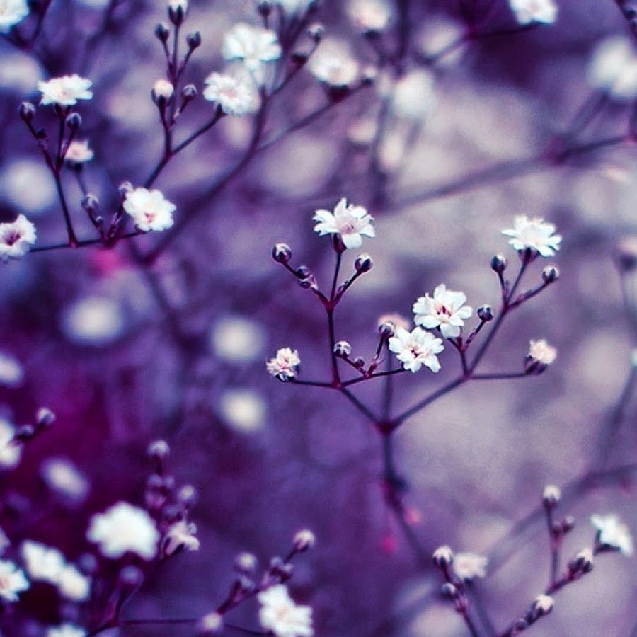 Красивая девушка рисунок