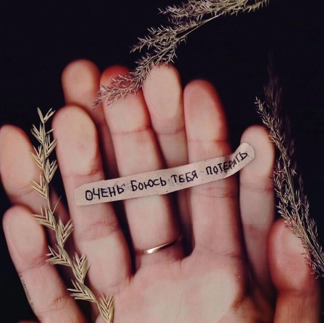 Цитаты на белом фоне