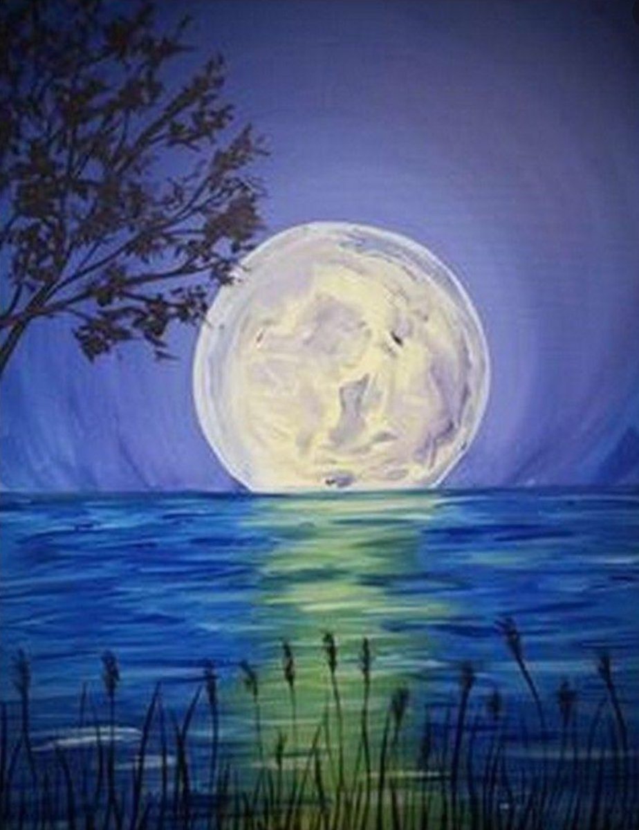 Ночная природа