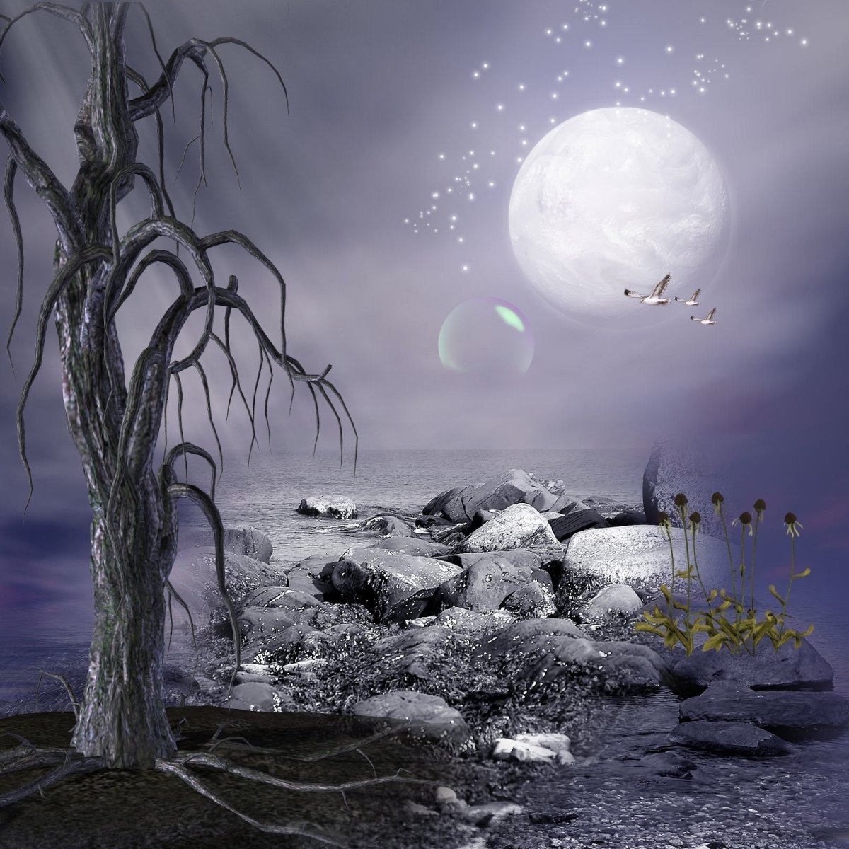 Ночь Луна море