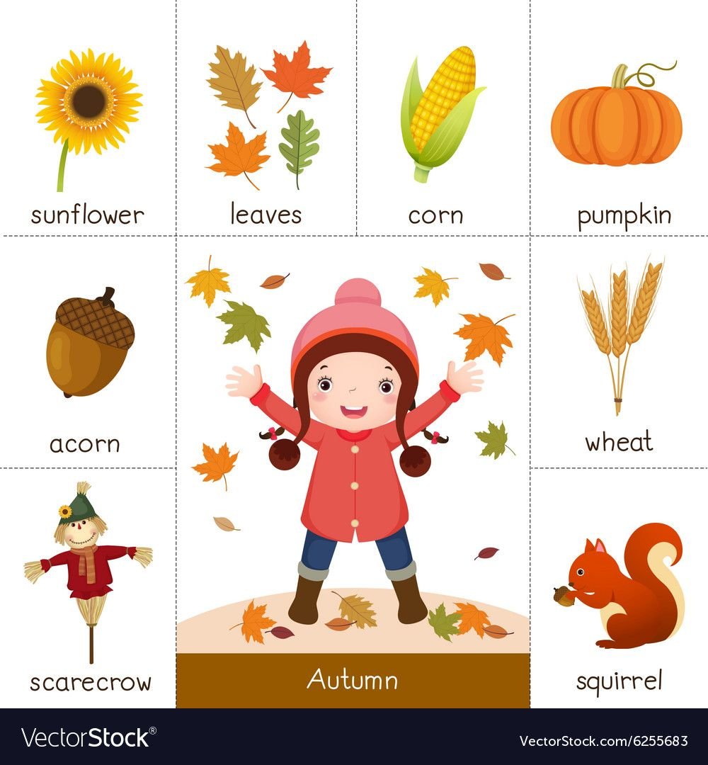 Карточки для детей на тему осень