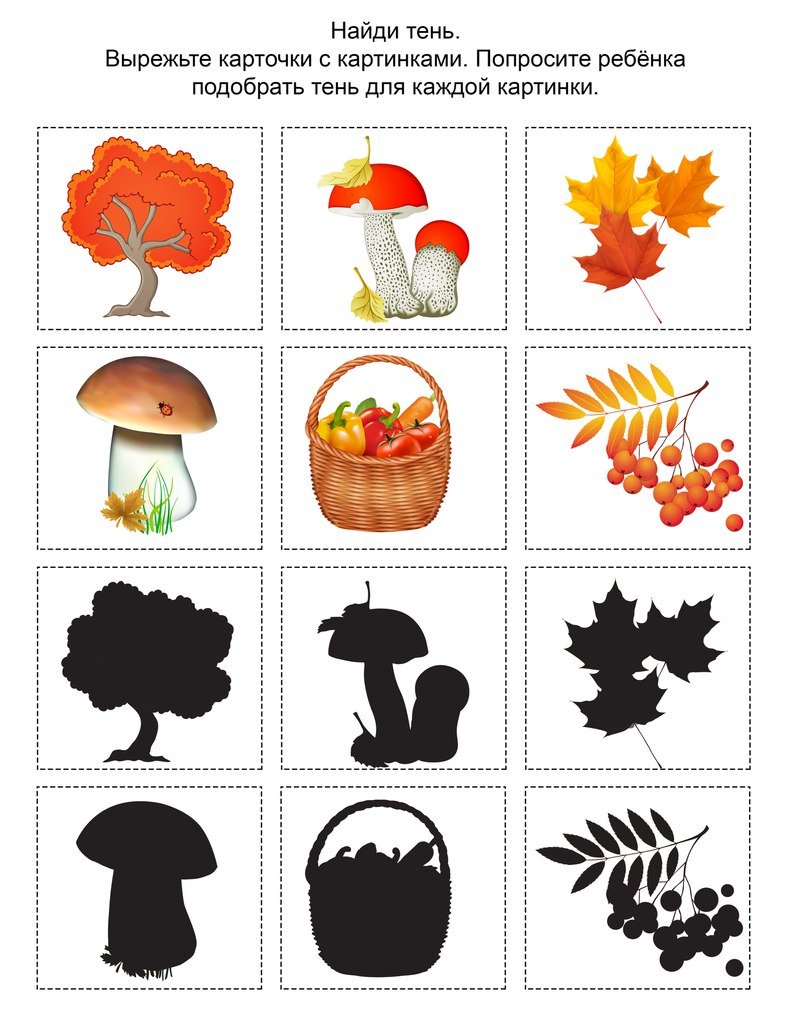 Осень задания для дошкольников