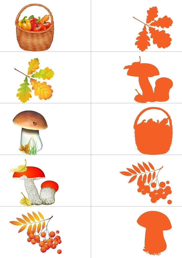 Осенние задания для дошкольников