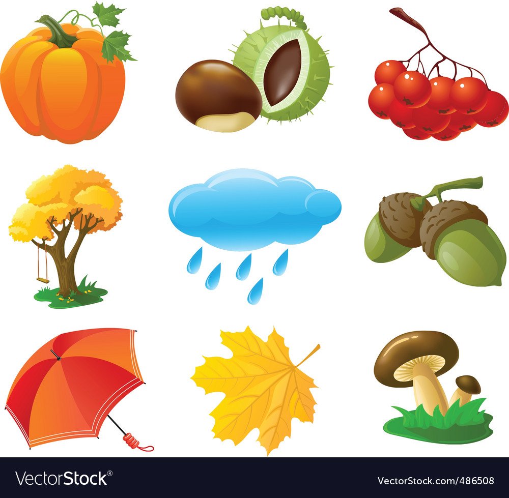 Предметы осени для дошкольников