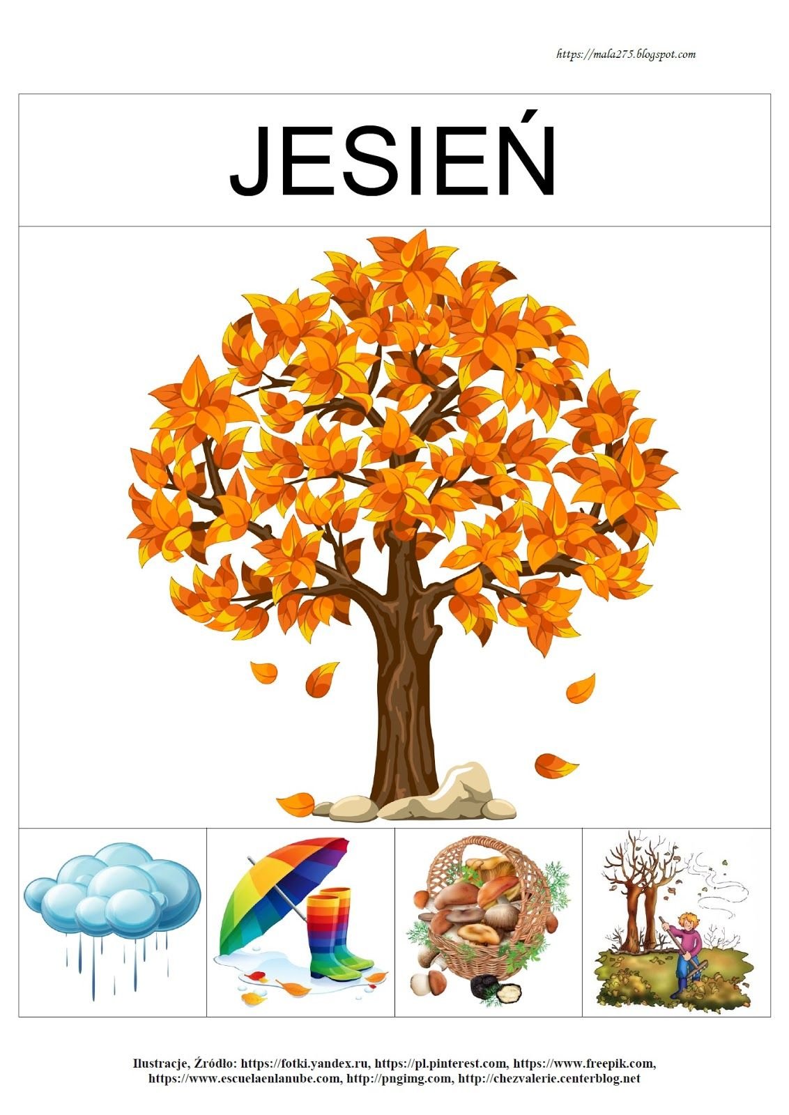 Признаки осени в картинках