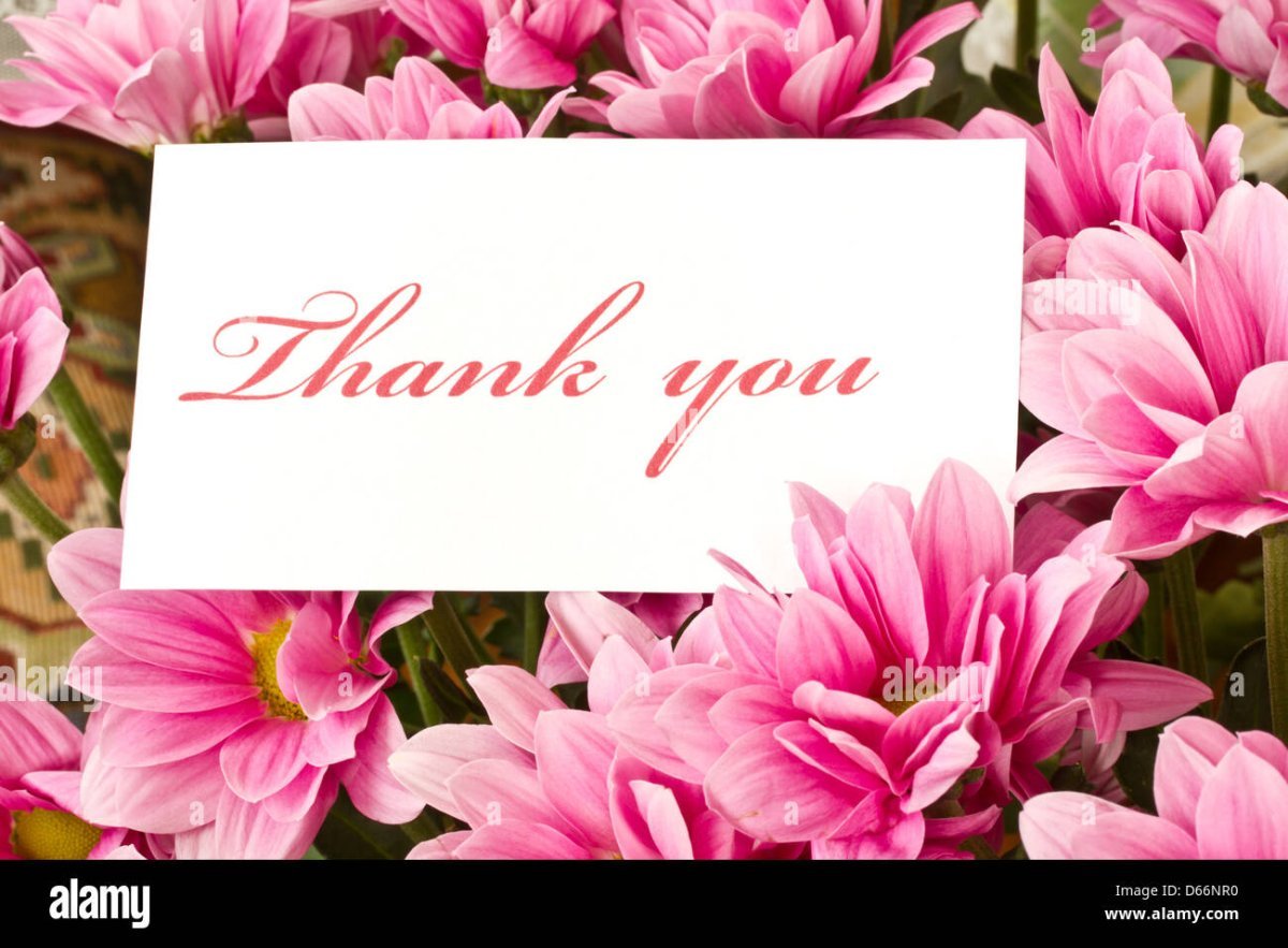 Поздравляем с днем учителя цветы