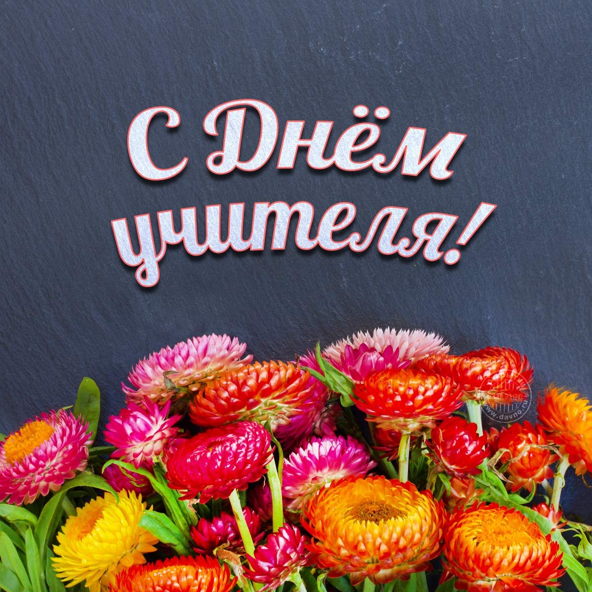 С днем учителя анимационные открытки