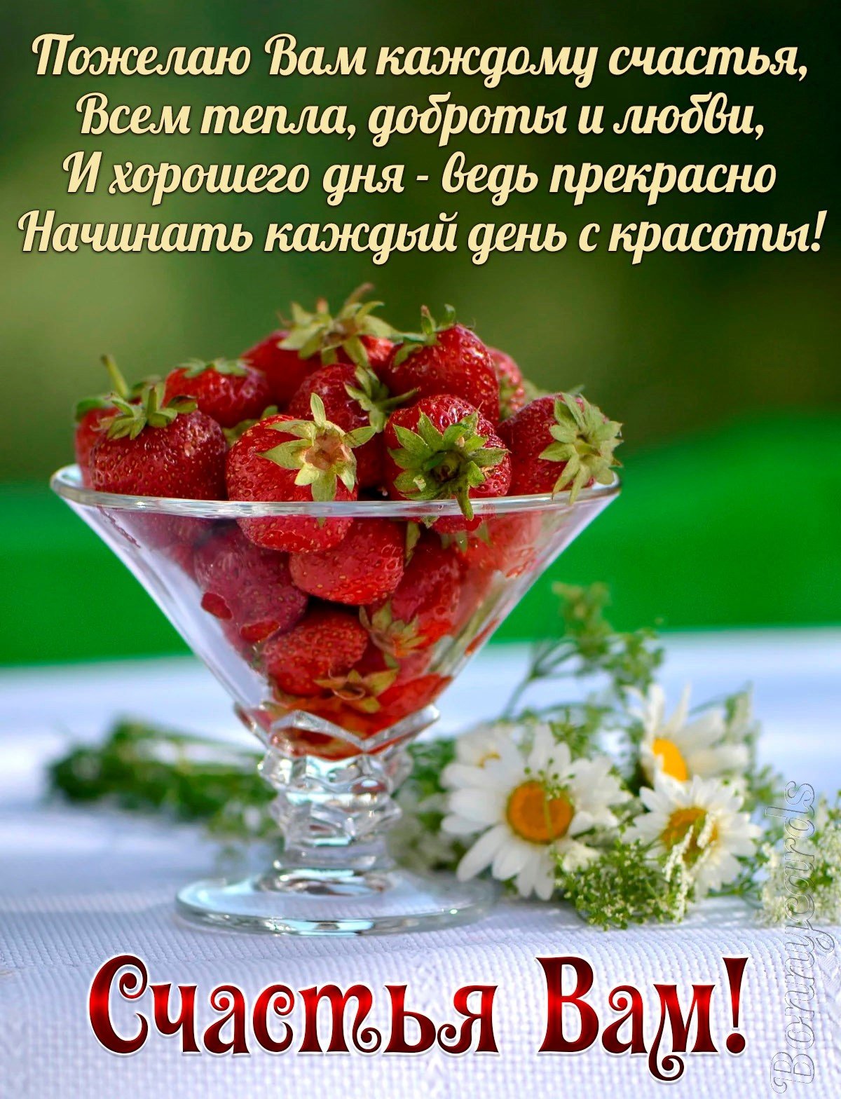 Пожелания доброго утра