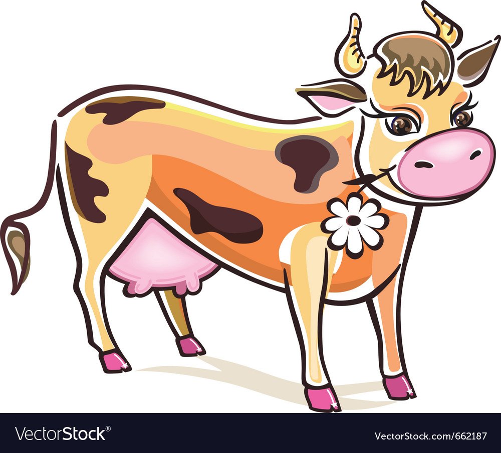 Теленок на белом фоне