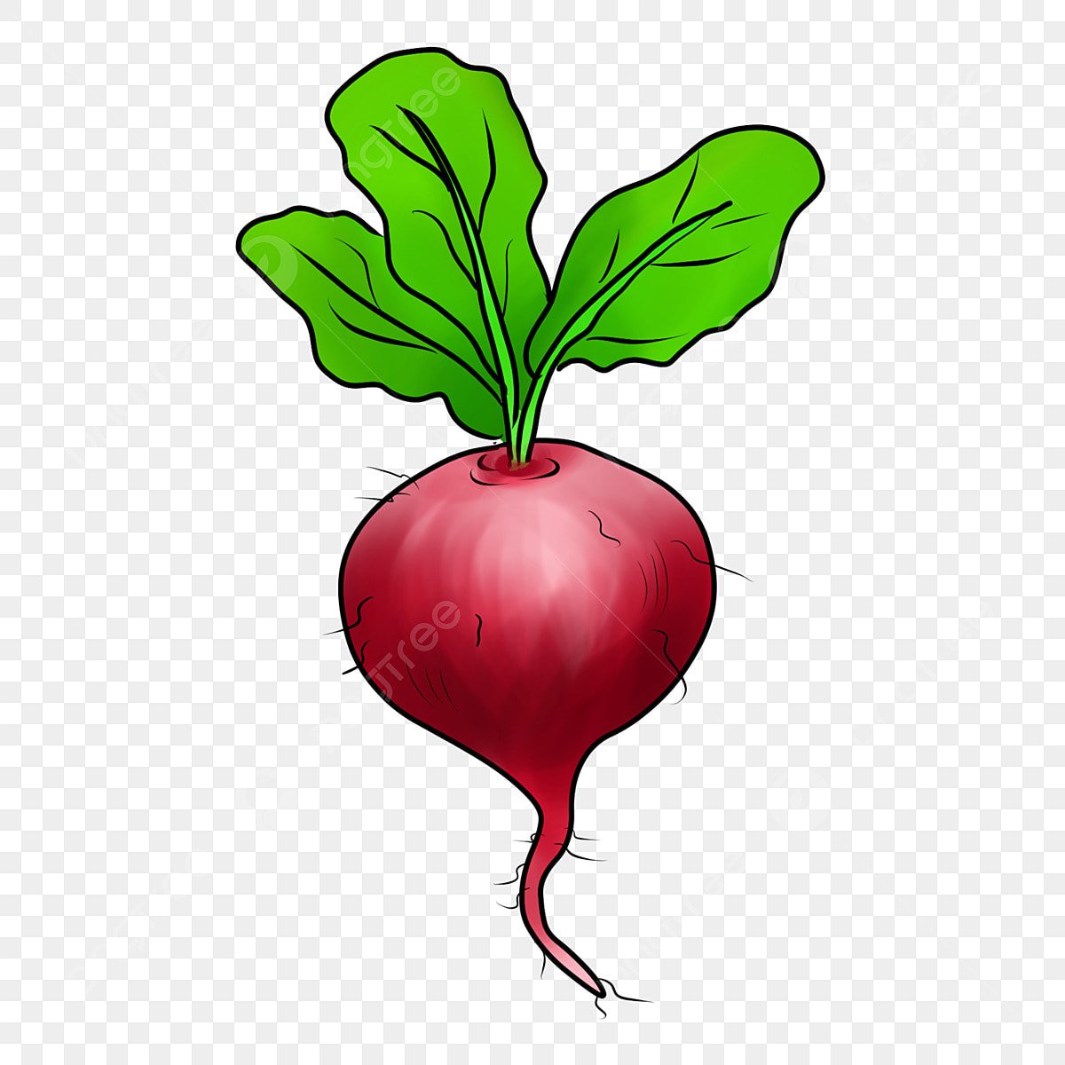 Редис вектор