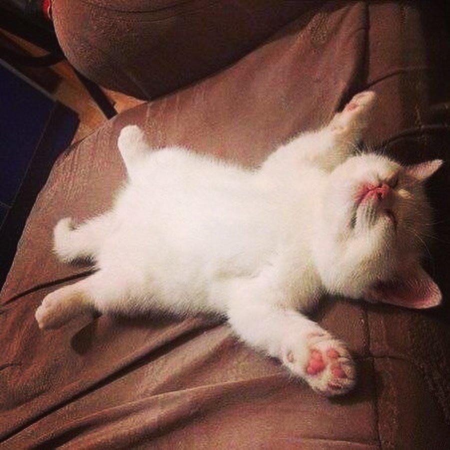 Шутки про корпоратив