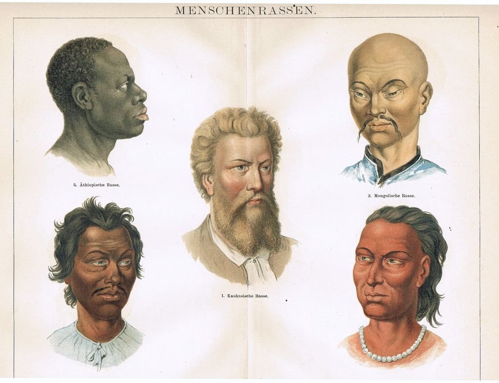 Расы человечества