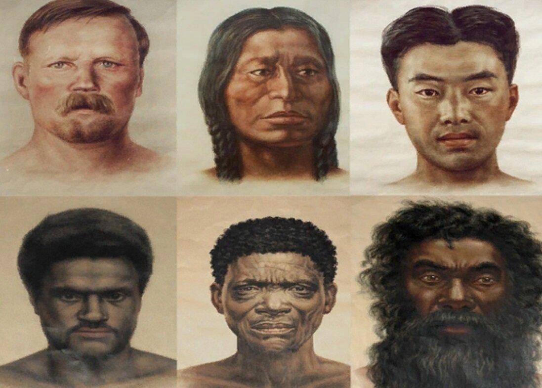 Кто создал расу людей. Негроидная и монголоидная раса. Европеоид и монголоид. Европеоидная и монголоидная раса. Этнические расы.