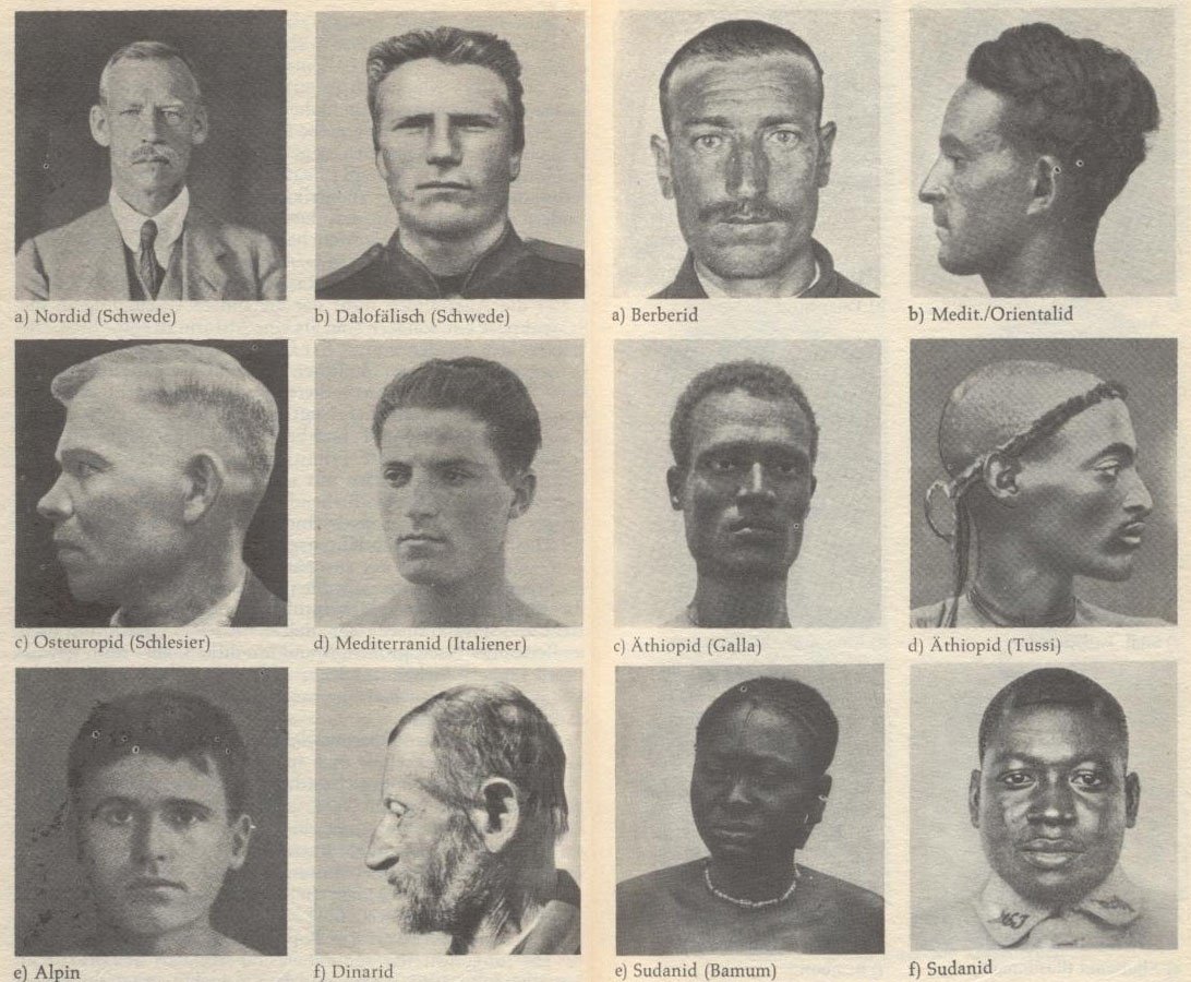 Антропология расы