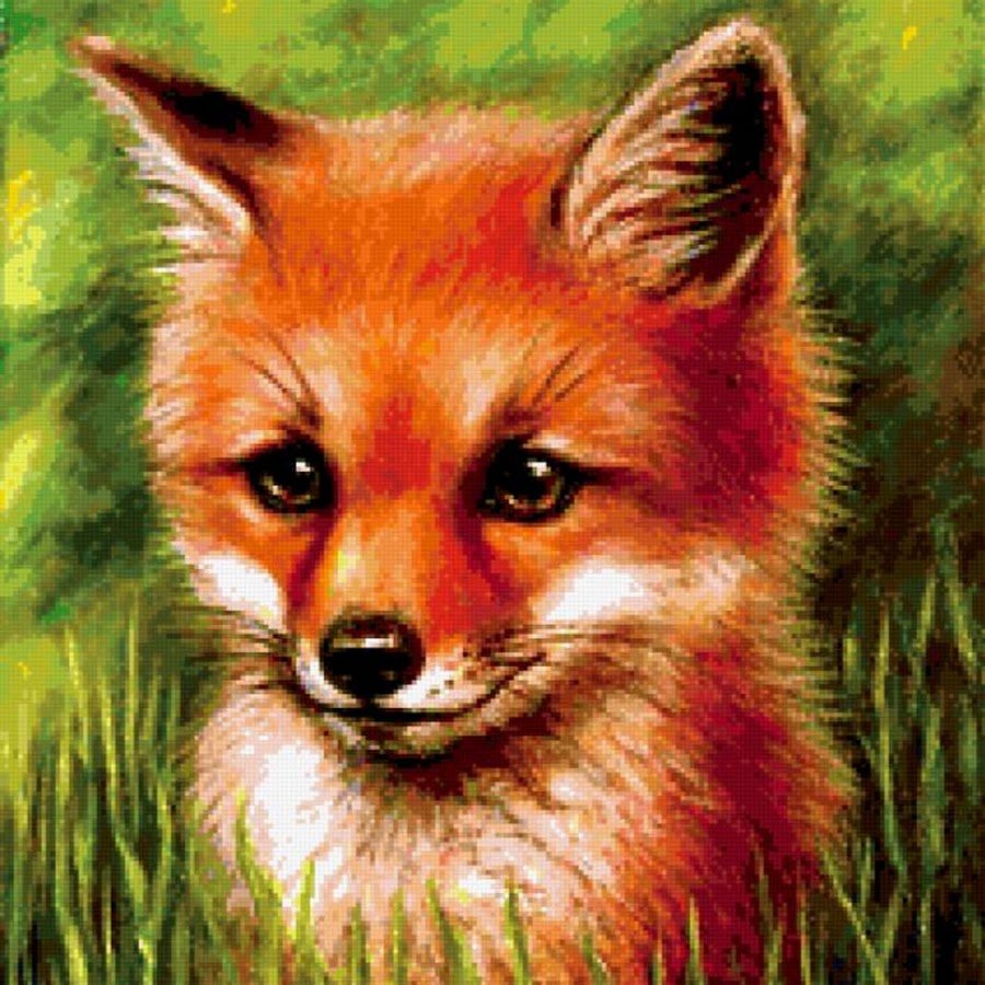 Лисичка вектор белый фон